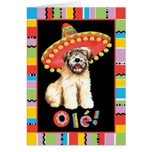 Fiesta Wheaten Wenskaart