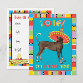 Fiesta Xolo Kaart (Voorkant / Achterkant)