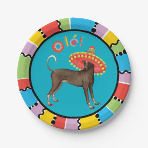 Fiesta Xolo Papieren Bordje