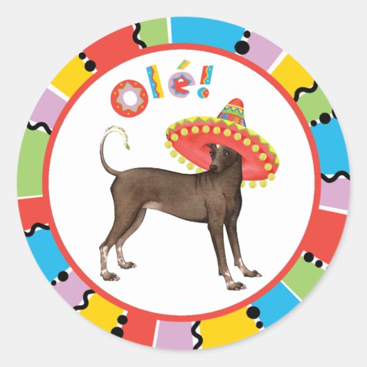 Fiesta Xolo Ronde Sticker (Voorkant)