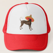 Fiesta Xolo Trucker Pet (Voorkant)