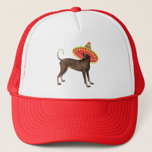 Fiesta Xolo Trucker Pet