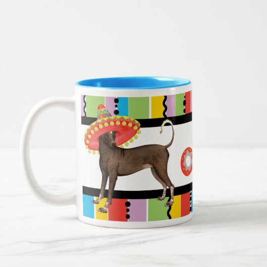 Fiesta Xolo Tweekleurige Koffiemok (Links)