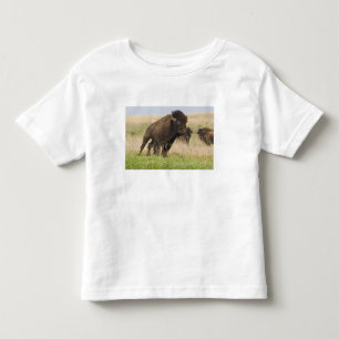 Fiesty jonge bizenkop in het Tallgras Kinder Shirts
