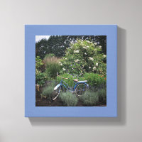 fiets in de tuin