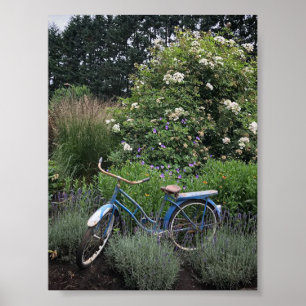  fiets in de tuin poster