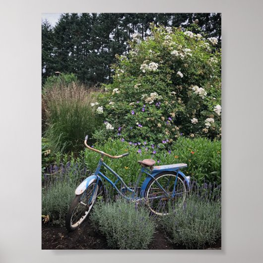 fiets in de tuin poster (Voorkant)