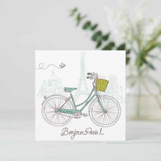 fiets met schattig mandje in Parijs (Staand voorkant)