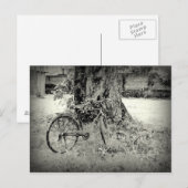 Fiets onder een boom briefkaart (Voorkant / Achterkant)