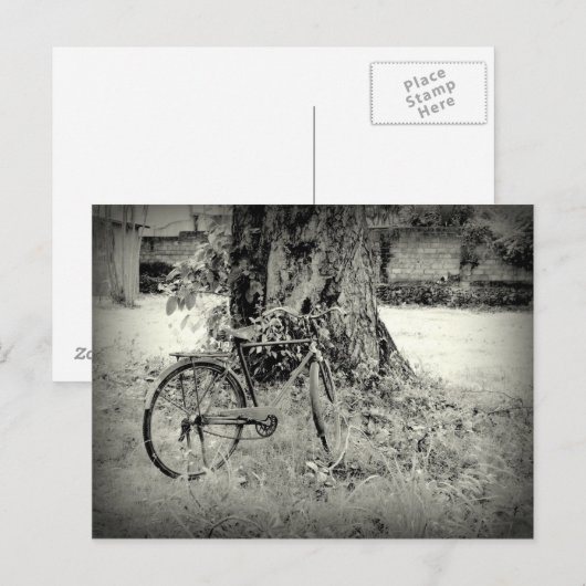 Fiets onder een boom briefkaart (Voorkant / Achterkant)