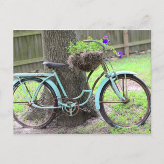  fiets van de bloemenmand in de tuin briefkaart