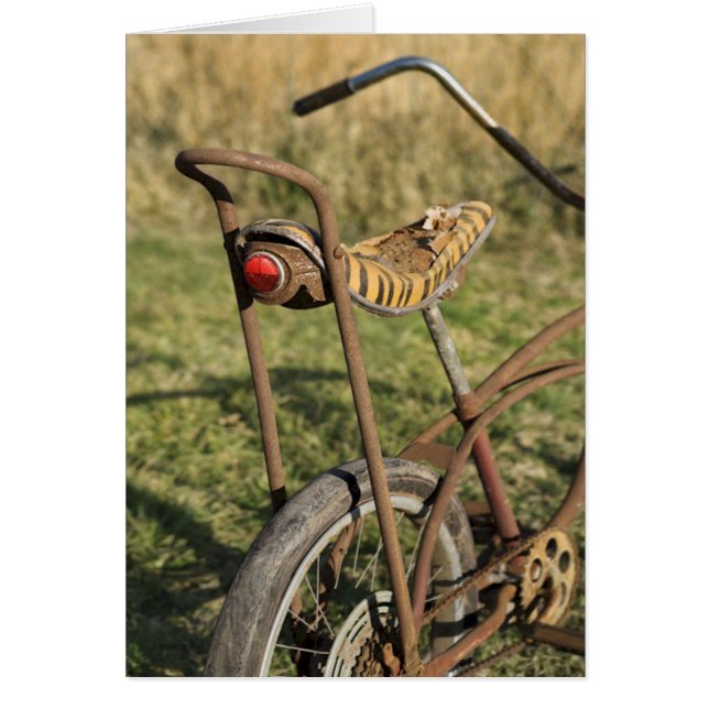 Fietscyclus fietsen van banaancruiser (Voorkant)
