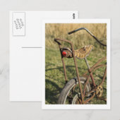 Fietscyclus fietsen van banaancruiser briefkaart (Voorkant / Achterkant)