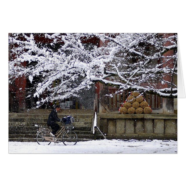 Fietsen in de sneeuw (Voorkant Horizontaal)