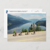 Fietsen langs 6 uur - Slocan Lk - British Columbia Briefkaart (Voorkant / Achterkant)