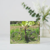 Fietsen onder bananenboom briefkaart (Staand voorkant)