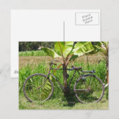 Fietsen onder bananenboom briefkaart (Voorkant / Achterkant)