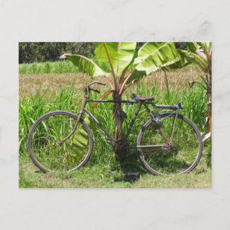 Fietsen onder bananenboom briefkaart