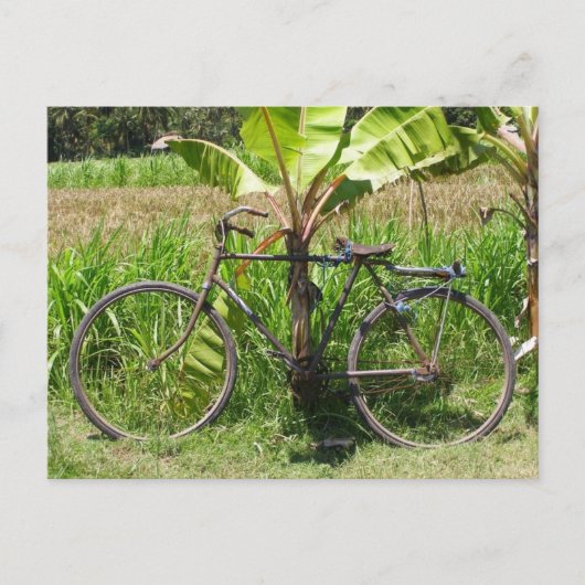 Fietsen onder bananenboom briefkaart (Voorkant)