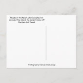 Fietsen op het strand - Pine Island Florida Briefkaart (Achterkant)