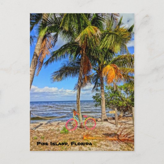Fietsen op het strand - Pine Island Florida Briefkaart (Voorkant)