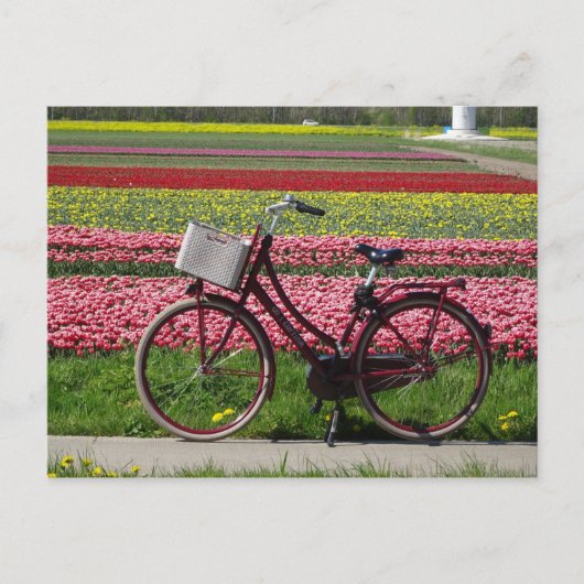 Fietsen op Tulips Field DIY Briefkaart (Voorkant)