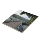 Fietsenbrug over water tegeltje (Zijkant)