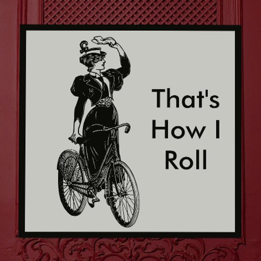  fietsenlijst magneet