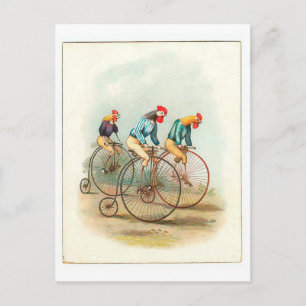  fietsenPoster, Pennyfarding Roosters Briefkaart