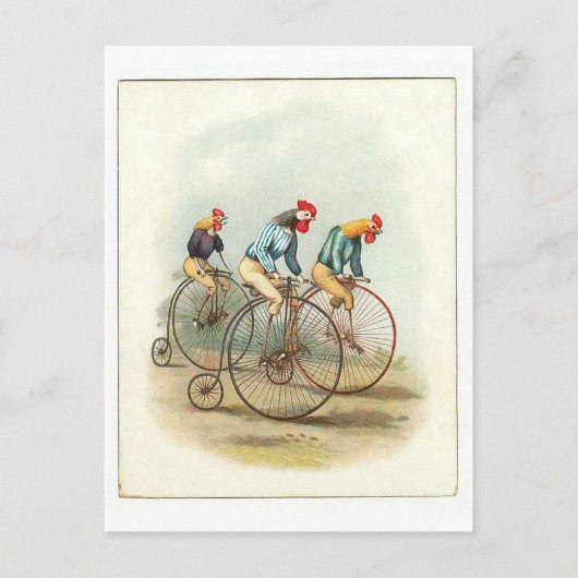  fietsenPoster, Pennyfarding Roosters Briefkaart (Voorkant)