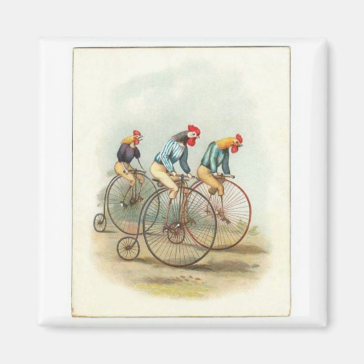 fietsenPoster, Pennyfarding Roosters Magneet (Voorkant)