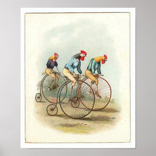  fietsenPoster, Pennyfarding Roosters Poster (Voorkant)