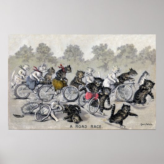 Fietserijdeksels Poster (Voorkant)