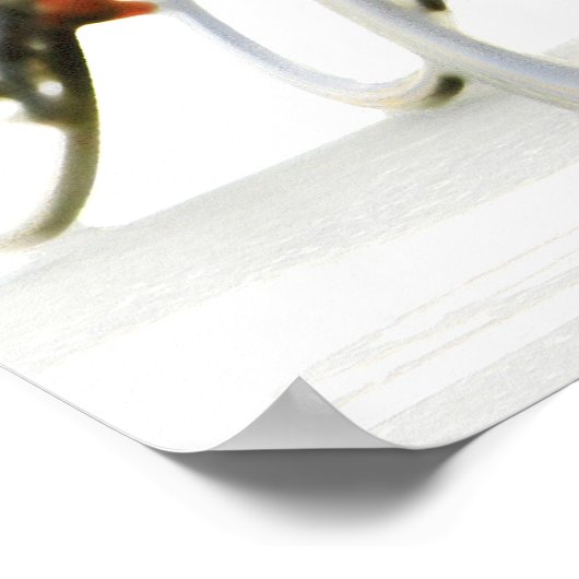 Fietserracers -Kleur -4 Poster (Hoek)