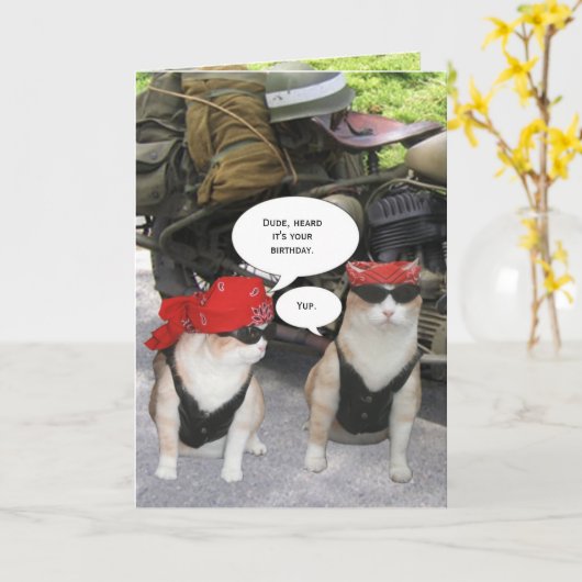  fietskat kaart (Gele Bloem)