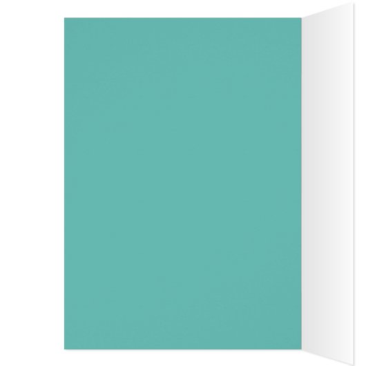  fietsmeisje in solide blauwgroen (Binnen (Links))