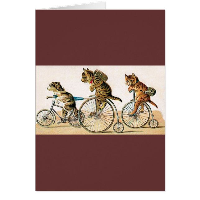 fietspriet (Voorkant)