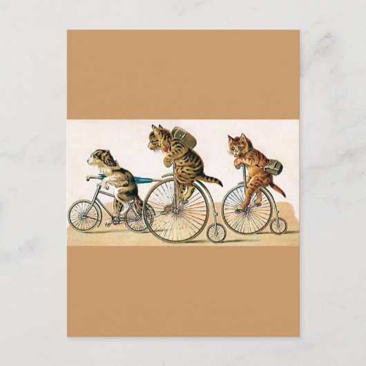 fietspriet briefkaart (Voorkant)