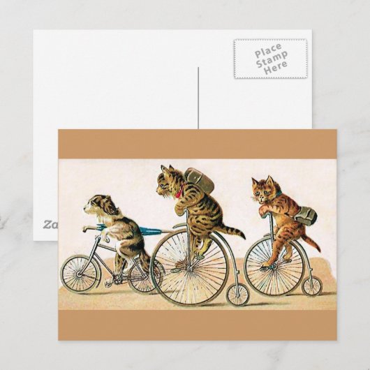 fietspriet briefkaart (Voorkant / Achterkant)