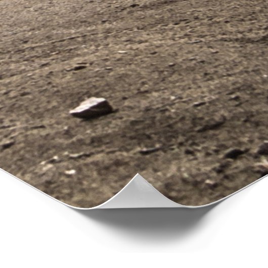 fietsprong in bergafwaarts poster (Hoek)