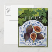 Fieus Briefkaart (Voorkant / Achterkant)