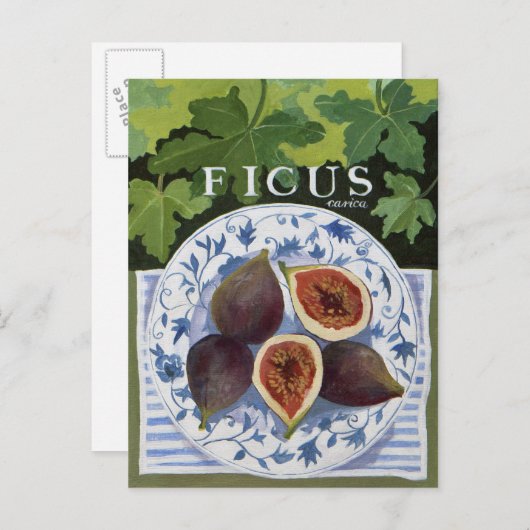 Fieus Briefkaart (Voorkant / Achterkant)