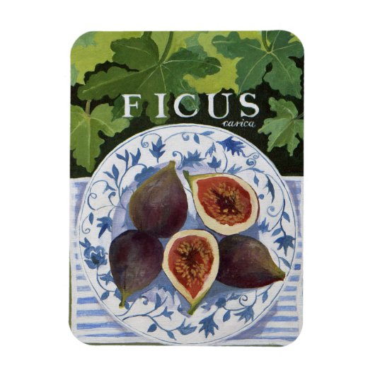 Fieus Magneet (Verticaal)