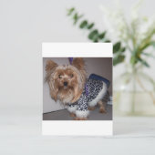 "Fifi" de Yorkie! Briefkaart (Staand voorkant)