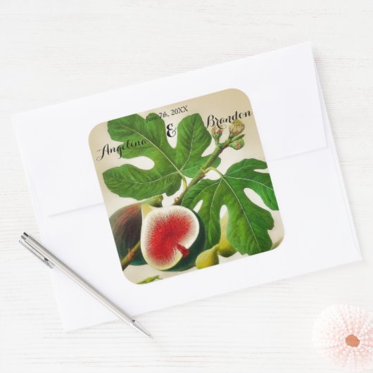 Fig boomgaard bruiloft Vierkante Sticker (Envelop)