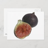 Fig. Briefkaart (Voorkant / Achterkant)