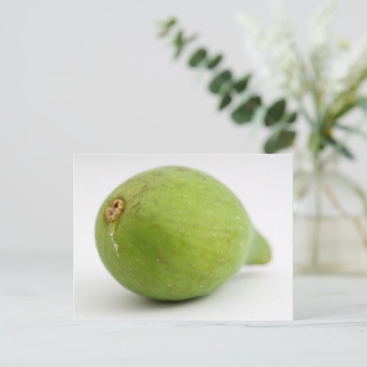 Fig Briefkaart (Staand voorkant)