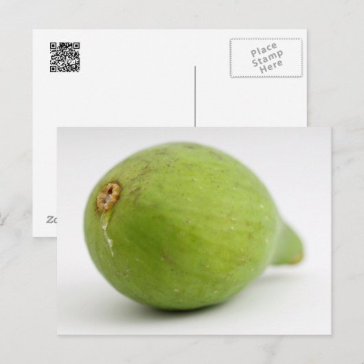 Fig Briefkaart (Voorkant / Achterkant)