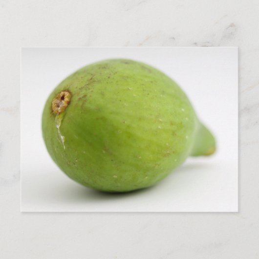 Fig Briefkaart (Voorkant)