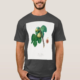 Fig Fico Troiano uit Pomona Italiana 1817 1839 T-shirt